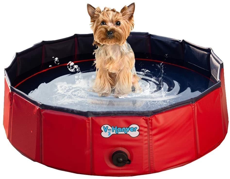 A red and blue foldable dog bathtub outdoors