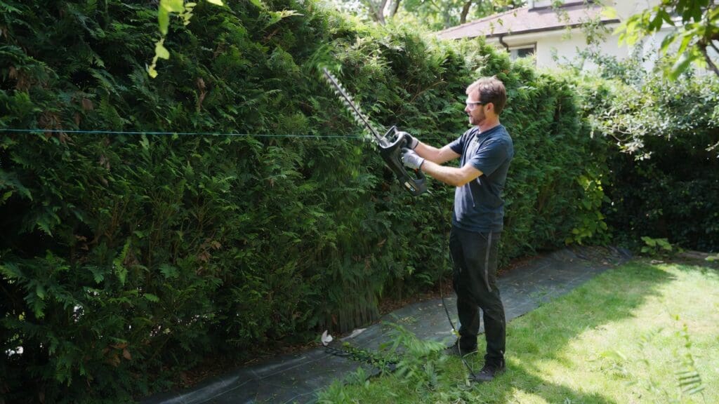 Gardener trimming a dense green privacy hedge with a cordless hedge trimmer and safety gear Gardenfrontier Gardener trimming a dense green privacy hedge with a cordless hedge trimmer and safety gear