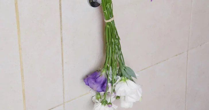 Hanging a bunch of flowers upside down to dry A beautiful bunch of pink and purple flowers hanging upside down to dry