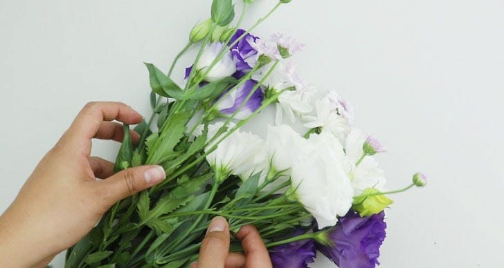 Stripping leaves from a flower stem A close up of hands stripping green leaves off a fresh flower stem