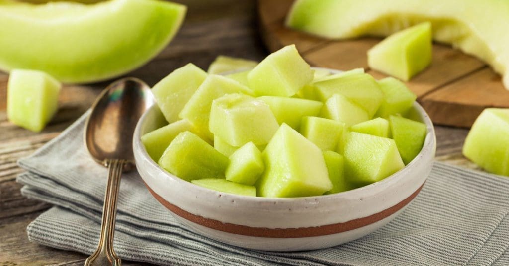 Can Dogs Eat Honeydew Melon Can Dogs Eat Honeydew Melon
