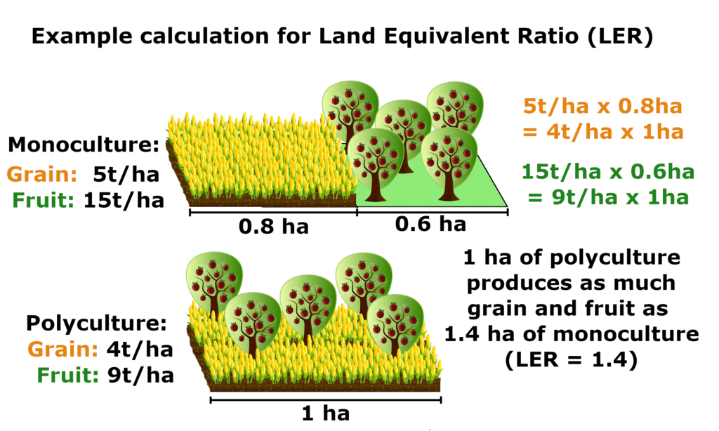 Transitioning from Monoculture to Horticulture An illustration showing the vibrant transition from a grass lawn monoculture to diverse horticulture