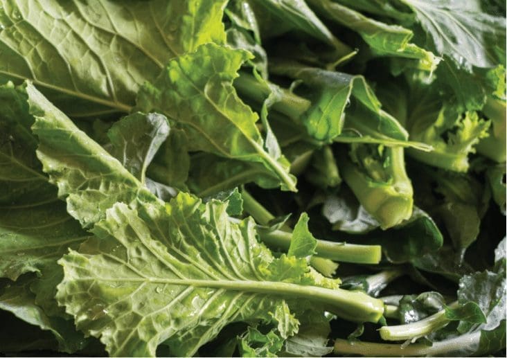 What Are The Fastest Growing Vegetables What Are The Fastest Growing Vegetables