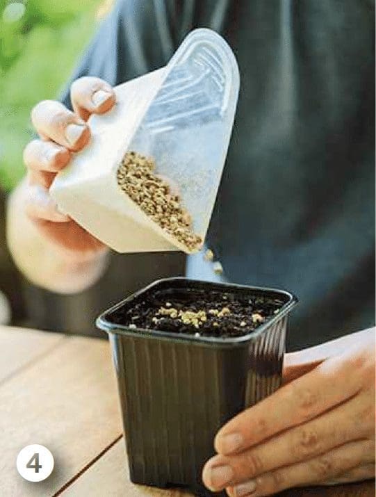 layer of vermiculite layer of vermiculite