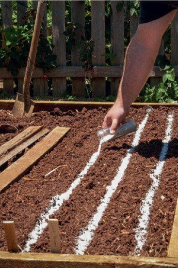 prepare beds for sowing prepare beds for sowing