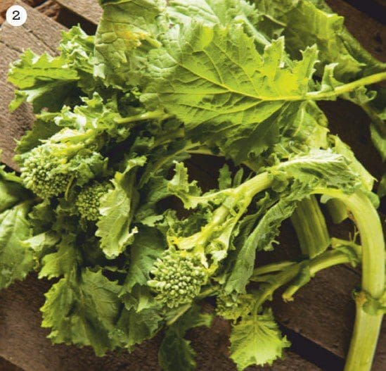 Broccoli raab Broccoli raab
