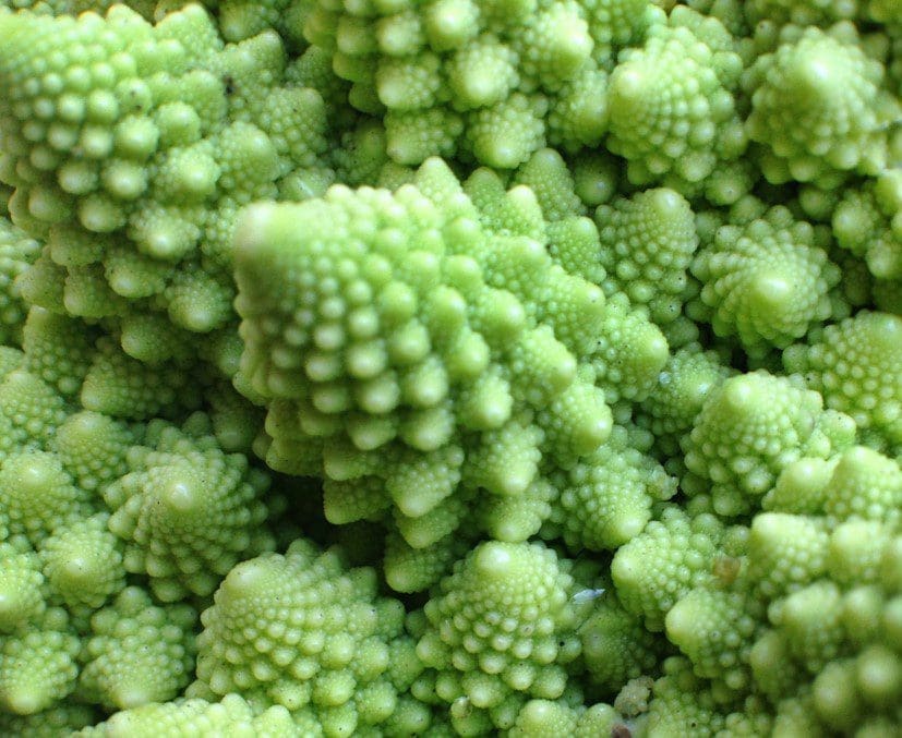 Broccoli Broccoli