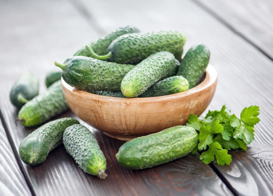 Burpless Cucumbers Burpless Cucumbers
