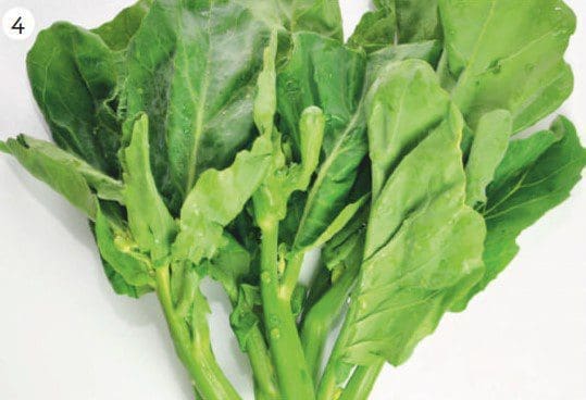 Chinese broccoli Chinese broccoli