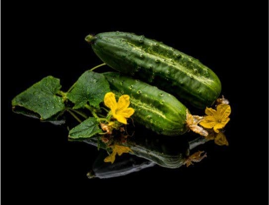 Cucumbers Cucumbers