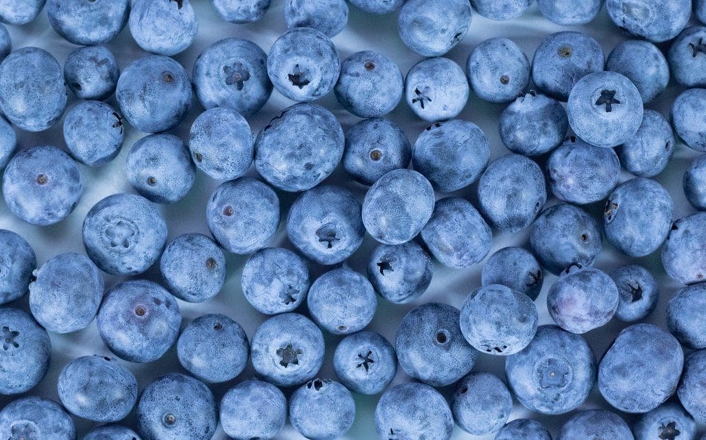How to freeze blueberries How to freeze blueberries