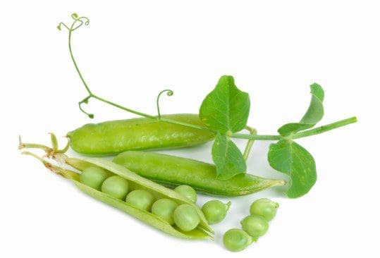 Peas Peas