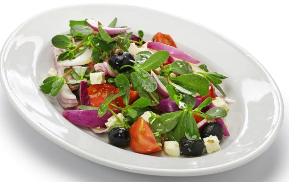 Pigweed-Purslane-Salad Pigweed-Purslane-Salad