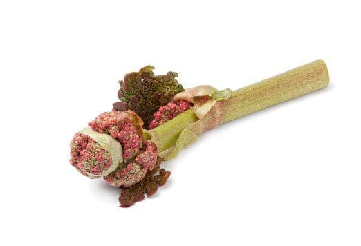 Rhubarb Rhubarb