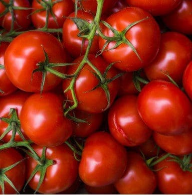 Tomatoes Tomatoes