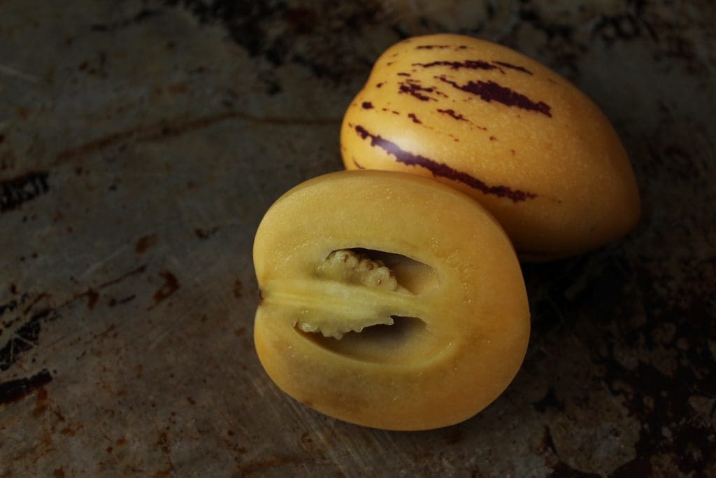 Pepino Melon Pepino Melon