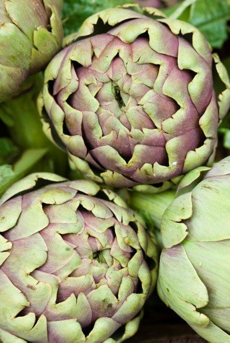 Globe Artichoke Globe Artichoke