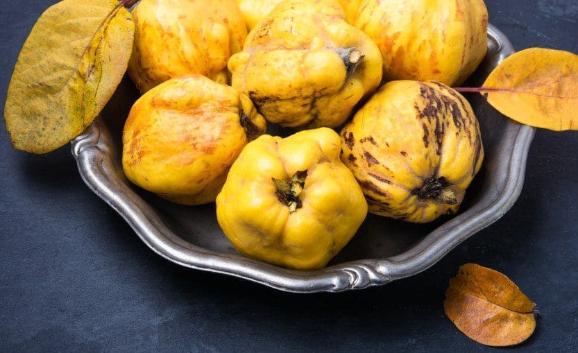 Quinces Quinces