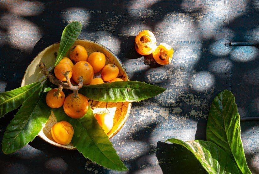 Loquat Loquat