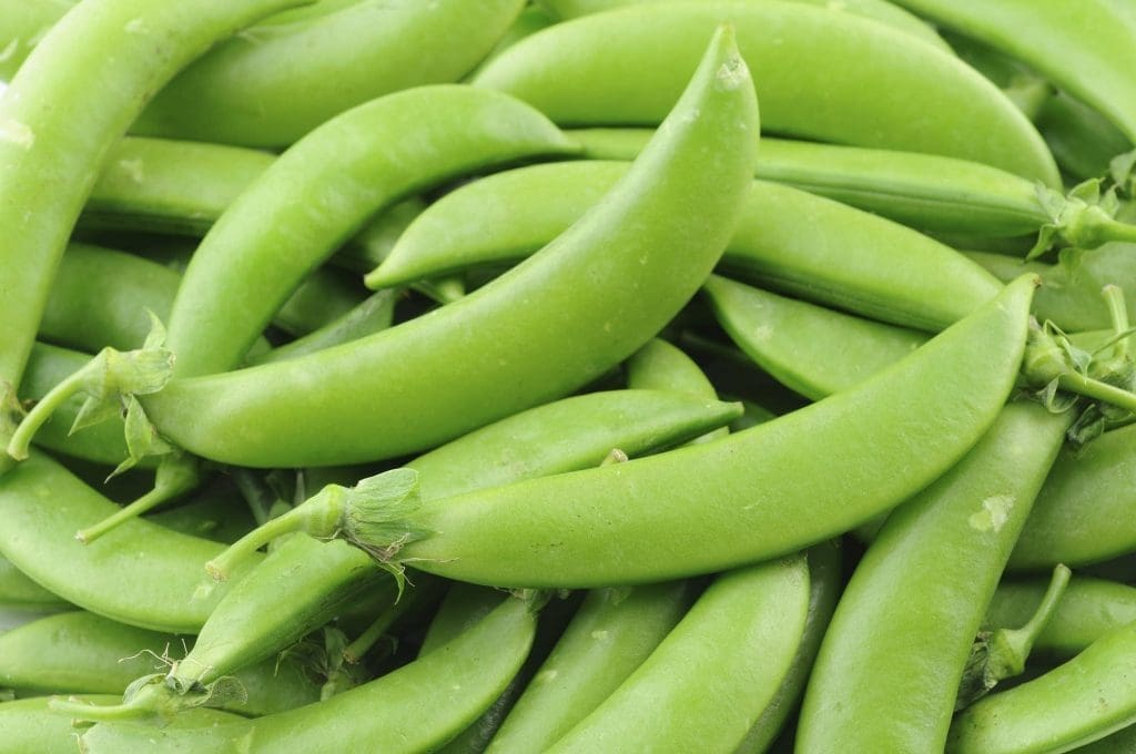 Sugar Snap Peas Sugar Snap Peas