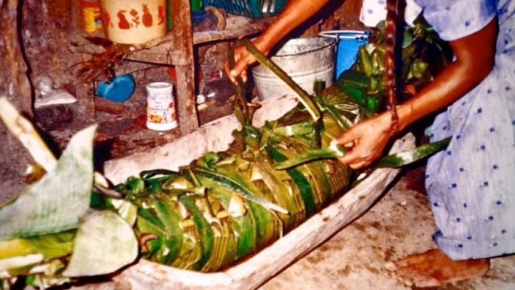 Authentic Zacahuil A massive Zacahuil tamale wrapped in charred banana leaves, served on a rustic table.