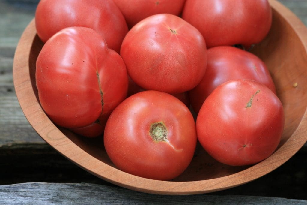 Arkansas Traveler Tomatoes A cluster of smooth, pinkish-red Arkansas Traveler tomatoes ripening on a green vine.