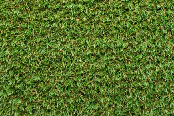 Bermuda Grass Bermuda Grass
