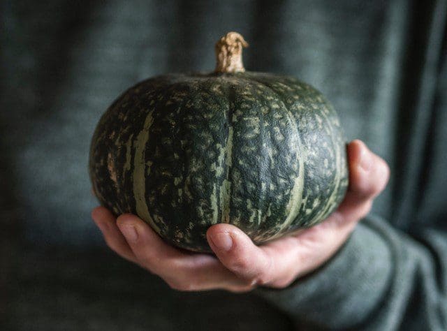 Green Pumpkins Green Pumpkins