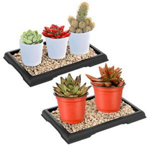 Pebble Tray Pebble Tray