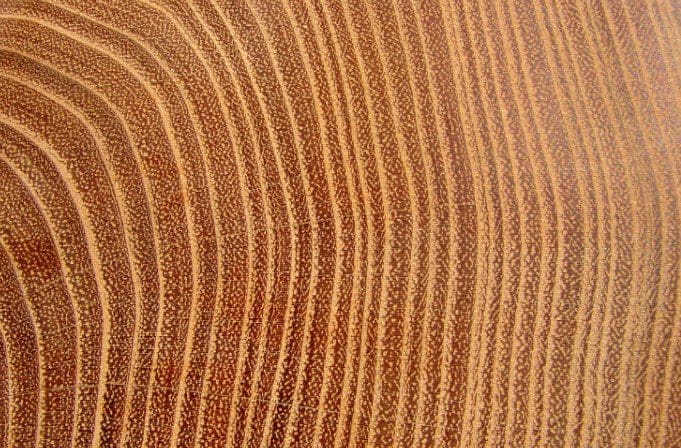 Acacia Wood Furniture A beautifully crafted, smooth Acacia wood dining table showcasing its rich grain.