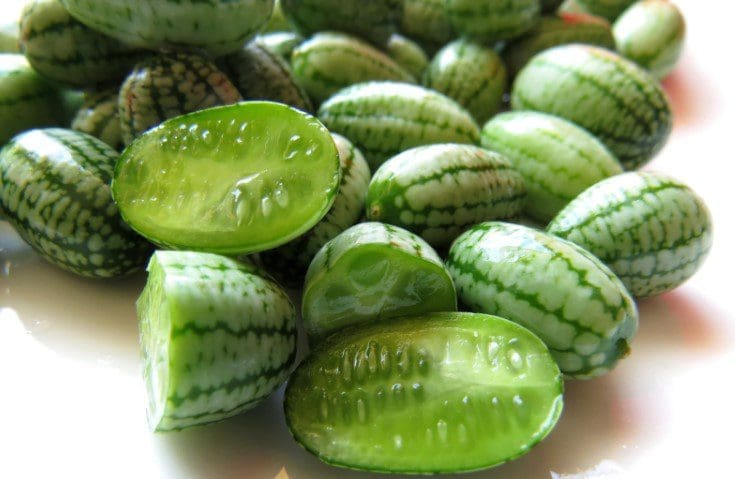 Cucamelons Cucamelons