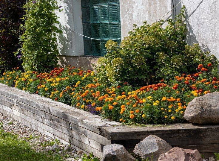 Flower Bed Flower Bed