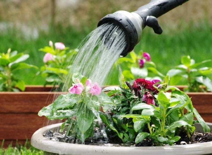 Watering Can Watering Can