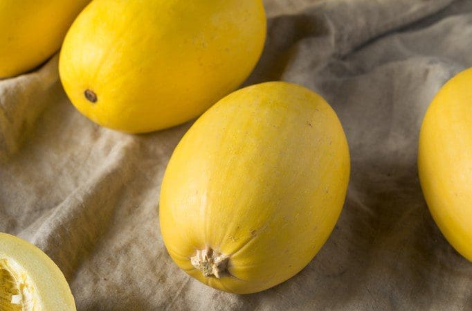 Winter Melon Winter Melon