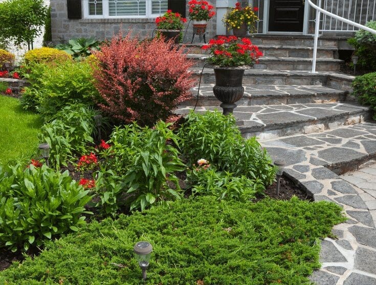 ornamental garden ornamental garden