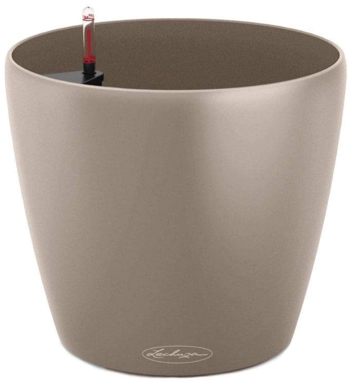 Lechuza Brown Classico Lechuza Brown Classico