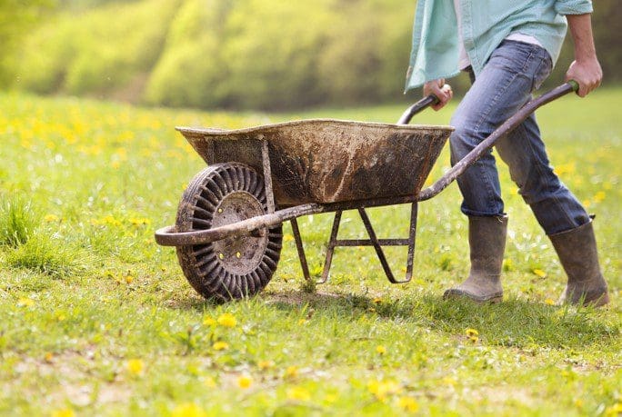 Wheelbarrow 2022 Wheelbarrow 2022