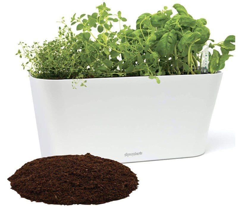 Window Garden Aquaphoric Planter Window Garden Aquaphoric Planter