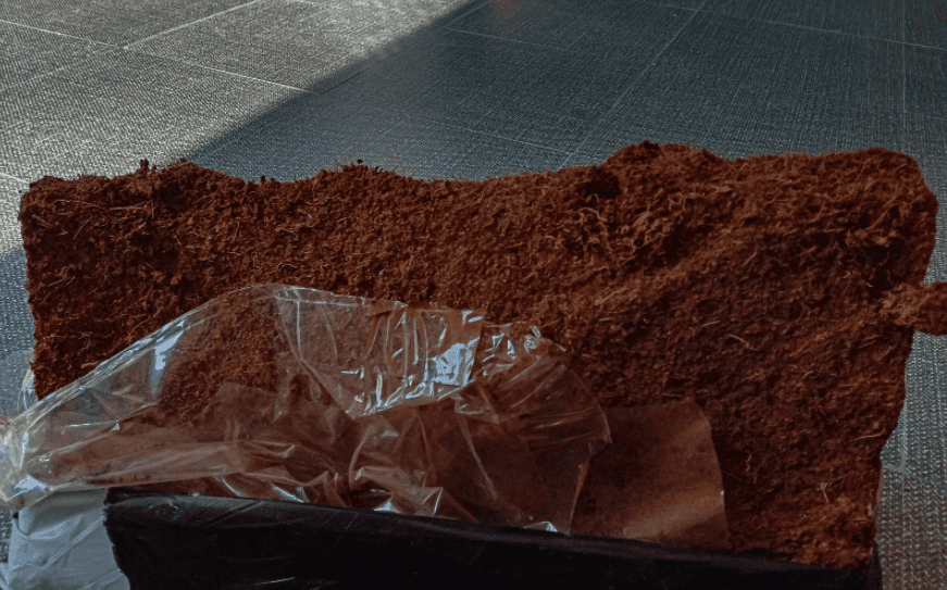 Coco Peat Blocks Compressed blocks of coco peat and loose coconut coir ready for gardening.