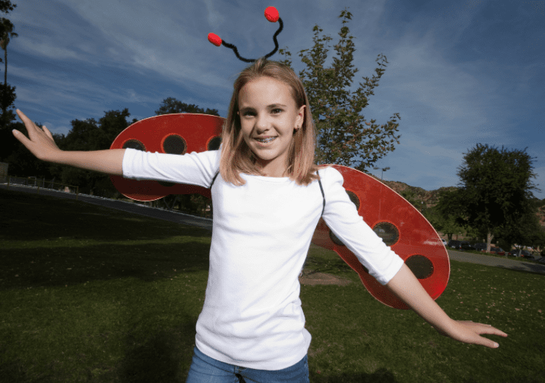 Ladybug Costume Head Ladybug Costume Head