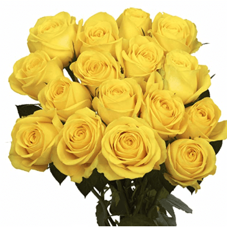 2 Dozen Yellow Roses- Fresh Cut Flowers 2 Dozen Yellow Roses- Fresh Cut Flowers