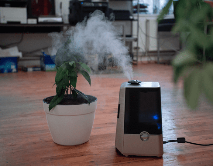 Do Plants Like Humidifiers Do Plants Like Humidifiers
