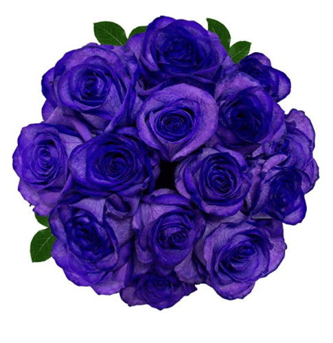 FRESH Tinted Roses Purple 25 stems Meteorite Rose FRESH Tinted Roses Purple 25 stems Meteorite Rose