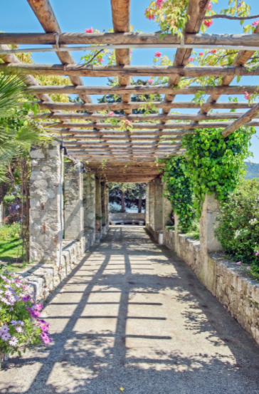 Walkway pergola Walkway pergola