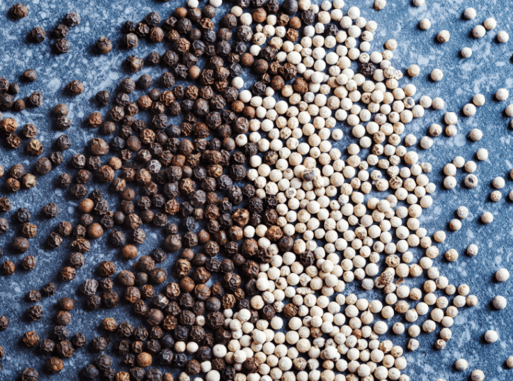 White pepper vs Black pepper White pepper vs Black pepper