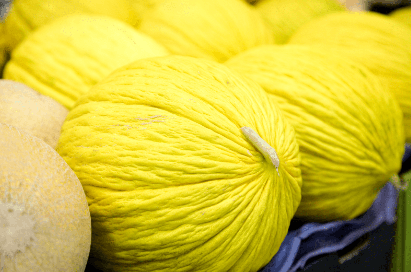 Casaba melons A perfectly ripe, bright yellow Casaba melon with a deeply ridged rind.