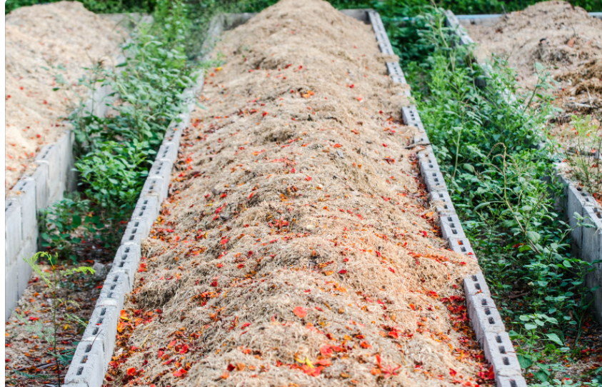Compost Tea