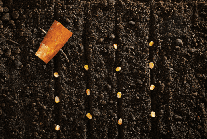 Multisowing Benefits Multisowing Benefits
