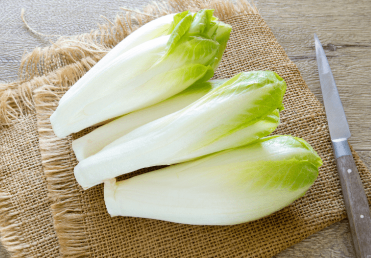 Belgian Endive Belgian Endive