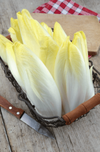 Endive Endive